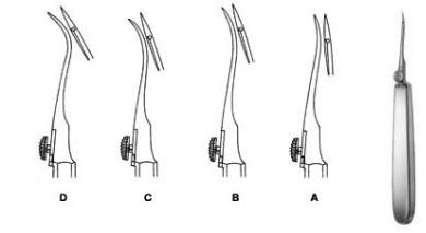 Reverdin Reverdin Needle