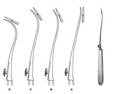 Reverdin Reverdin Needle