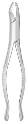 Extracting Forceps