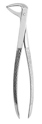 Extracting Forceps - English