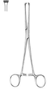 Thoms-Allis Intestinal and Tissue Grasping Forceps