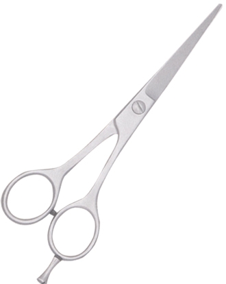 Pet Grooming Scissors