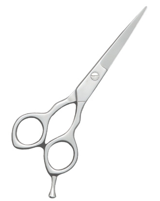 Barber Shears