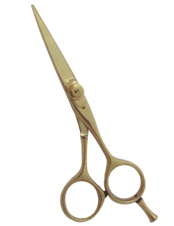 Professional Hair Cutting Scissors