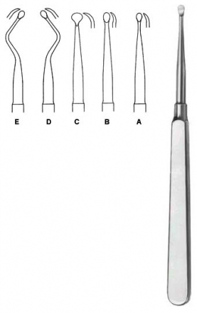 Molt Bone Curette