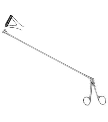 Rectal Biopsy Forceps