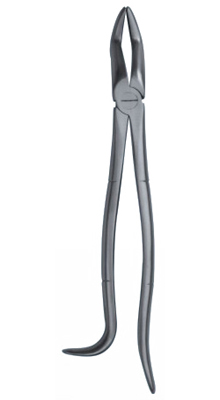 Tooth Forceps