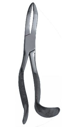 Tooth Forceps