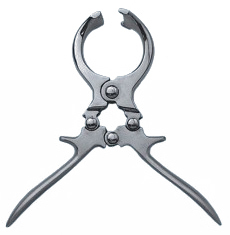 Castration Forceps