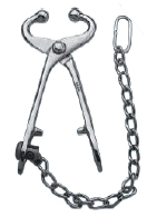 Bull Holder Pliers