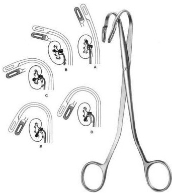 Randall Kidney Stone Forceps