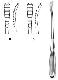 Aufricht Glabella Rasp