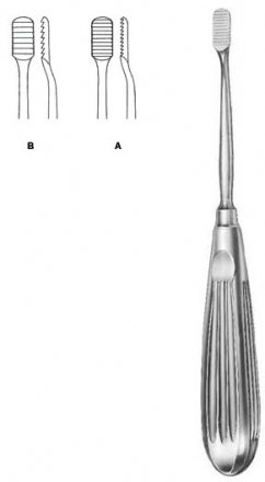 Lewis Nasal Rasp