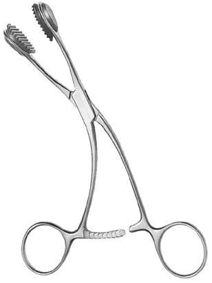 Young Tongue Holding Forceps