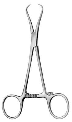 Steinhäuser Bone Holding Forceps