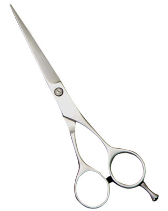 Special Barber Shears