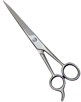 Practice Shears