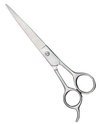 Practice Shears