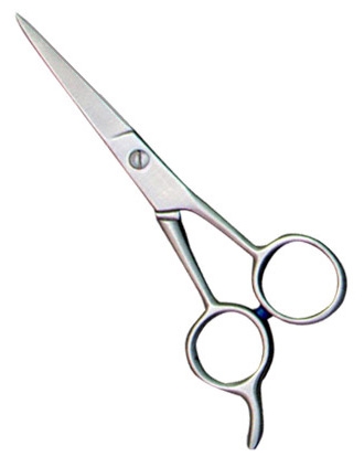 Practice Shears