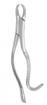 Extracting Forceps