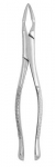 Extracting Forceps