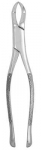 Extracting Forceps