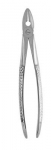 Extracting Forceps