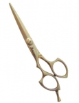 Professional Hair Cutting Scissors